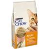 NESTLE' PURINA PETCARE IT. SpA CAT CHOW FELINE 3IN1 TURK1,5KG