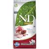 RUSSO MANGIMI SpA N&D QUI DOG S&C Q C/CU AD M2,5