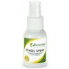 APA-CT Srl GREENVET APAGEL SPRAY 50ML