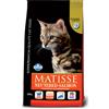 RUSSO MANGIMI SpA Matisse Neutered con Salmone - 1,50KG