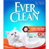 WONDERFOOD SpA EVERCLEAN FAST ACT OD CONTR 6L