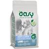WONDERFOOD SpA One Animal Protein Puppy & Junior Medium & Large con Agnello - 12KG