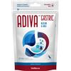 VETNOVA SALUD S.L. ADIVA® Gastric - Medium & Large