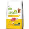 NOVA FOODS Srl Natural Adult Small & Toy con Manzo e Riso - 2KG