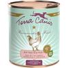 TERRA CANIS GRAIN-FREE POLLO 800G