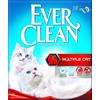 WONDERFOOD SpA EVERCLEAN MULTIPLE CAT 6L