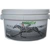 LACOMED Sas Elena Fustella &C LACOMED ARGILLA EX BI ARNICA