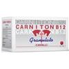 Acme CARNITON B 12 GRANULATO 20 BUSTE 25 G