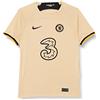 Chelsea Nike Chelsea Stagione 2022/23 Terza Divisa Ufficiale Maglia Unisex