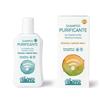 Argital SHAMPOO PURIFICANTE 250 ML