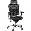 HJH Office Sedia direzionale con poggiatesta ERGOHUMAN BASE ONE sedia ergonomica per ufficio con dotazione completa, pelle/mesh nero, 652986