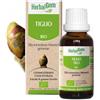 Pranarom Herbalgem Gemmoderivato Di Tiglio 30 Ml