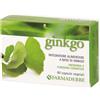 FARMADERBE Srl Farmaderbe Ginkgo Biloba 60 Capsule