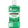 Listerine Difesa Denti E Gengive Collutorio 250ml