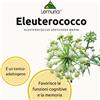 Lemuria Et Eleuterococco Integratore Alimentare 30ml