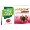 Tantum Verde Natura Gusto Frutti Di Bosco 15 Pastiglie