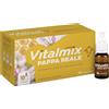 Vitalmix Pappa Reale Integratore Vitamina C 10 Flaconcini