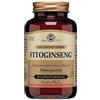 Solgar Fitoginseng Integratore A Base Di Panax Ginseng 50 Capsule Vegetali