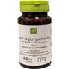 Oti Semi Di Pompelmo Estratto Secco 60 Capsule