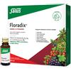 Floradix Integratore Ferro 10 Flaconcini