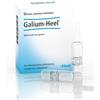 Heel Guna Galium-heel 10 Fiale