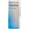 Guna Galium Gocce 30ml
