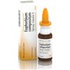 Guna Euphorbium Compositum Spray Nasale 20ml