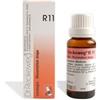 Dr.reckeweg Reckeweg R11 22ml