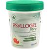 Psyllogel Arancia Rossa Vaso 170 Grammi