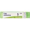 Boiron Calcarea Carbonica Ostrearum 5ch Granuli