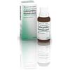 Guna Colocynthis Homaccord Gocce Orali 30ml
