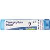 Boiron Caulophyllum Thalictroides 9ch Contenitore Multidose