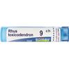 Boiron Rhus Toxicodendron 9ch Granuli