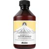 Davines Naturaltech Purifying Shampoo 250 ml - Shampoo purificante per cute con forfora grassa o secca