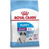 Royal Canin Giant Puppy per cane 2 x 15 kg