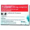 Panacur 250 Mg Msd Animal Health 10 Compresse