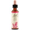 schwabepharmaitalia Schwabe Pharma Fiori di Bach Pine 20 ml Gocce orali