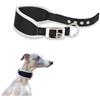 Ferplast Collare Cane ERGOCOMFORT, Collare per Levriero, Soffice imbottitura, Argento