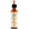 schwabepharmaitalia Schwabe Pharma Rock Rose Bach Orig 20 ml Gocce orali