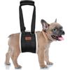 PICK FOR LIFE Supporto per cani regolabile, tracolla portatile per la riabilitazione di cani di piccola taglia - Deambulatore con manici come supporto di sicurezza per cani disabili, feriti o anziani