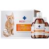 RECOACTIV Tonico Renale per gatti, 3 x 90 ml, integratore alimentare per supportare la convalescenza in caso di primi sintomi di compromissione della funzionalità renale nei gatti o come profilassi.