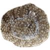 TOGNANA REEF MARINE PIATTO FONDO COUPE CM 23X20 - confezione da 6 pezzi