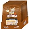 Ultima Taglia Piccola Chihuahua Pollo - Crocchette per cani - Confezione da 8 x 800g - Totale 6,4kg