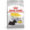 Royal Canin Mini Dermacomfort per cane 3 kg
