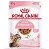 Royal Canin Kitten Sterilised in salsa cibo umido per gattino (85 g) 1 scatola (12 x 85 g)