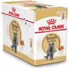 Royal Canin British Shorthair Adult cibo umido per gatto (in salsa) 1 scatola (12 x 85 g)