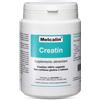 BIOTEKNA Srl MELCALIN CREATIN 190G