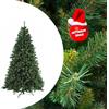 XMAS Albero di Natale Chantal H 150 cm.