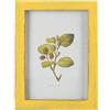 Wuuooei Cornici da Parete e da Tavolo, 1 Pcs Cornice per Foto in Legno, Portafoto Shabby Chic 6x4, Cornice Foto con Staffa, Portafoto in Legno Vintage per Decorazione da Tavolo per Ufficio e Caffetteria