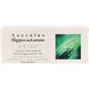 oti-officine-terapie-innovative AESCULUS HIPPOCASTANUM BIO CARE CREMA 75ML